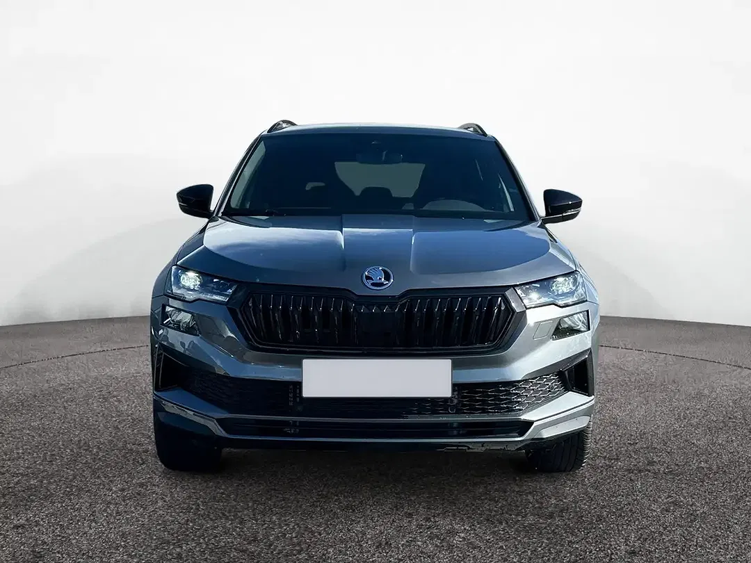 Skoda Karoq - Thumbnail 1