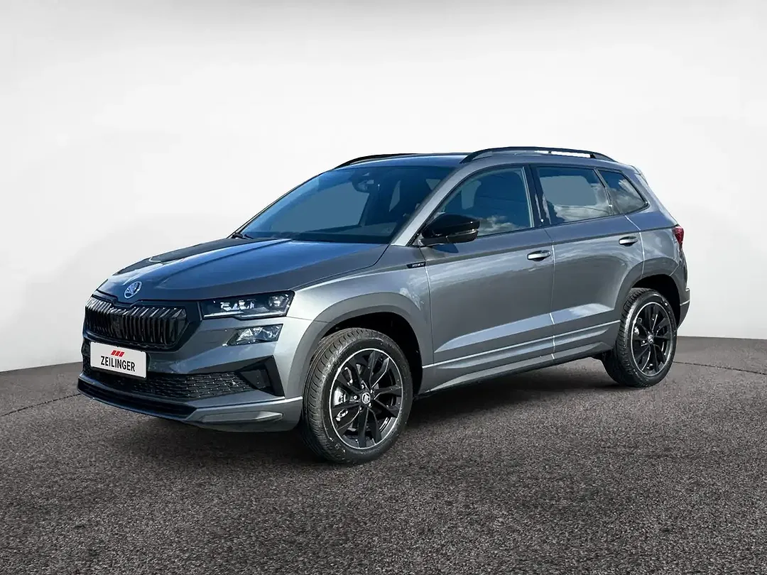 Skoda Karoq - Thumbnail 2