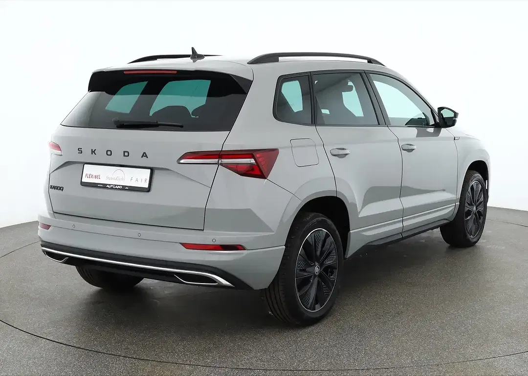 Skoda Karoq - Thumbnail 4