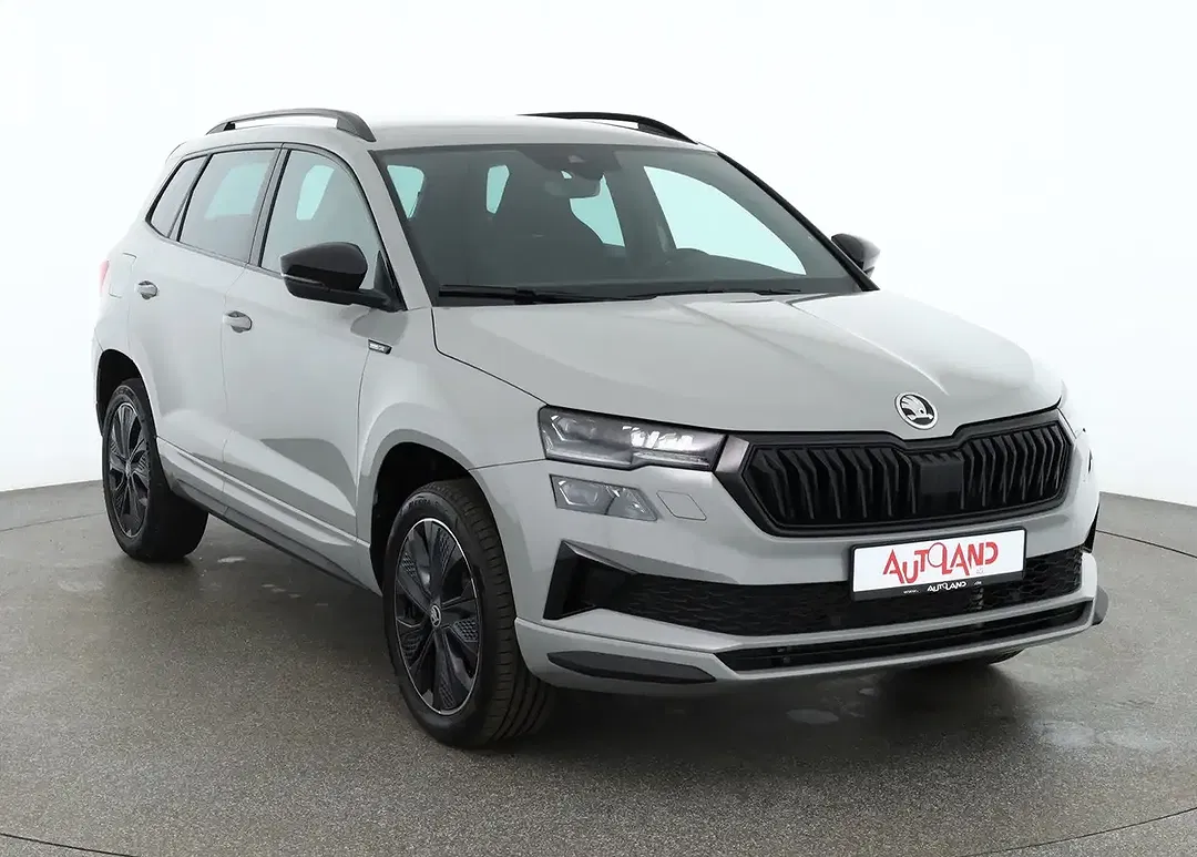 Skoda Karoq - Thumbnail 6