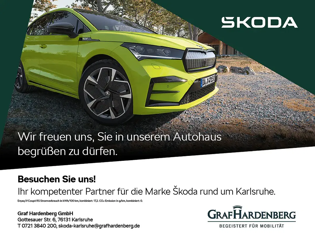 Skoda Kamiq - Thumbnail 15