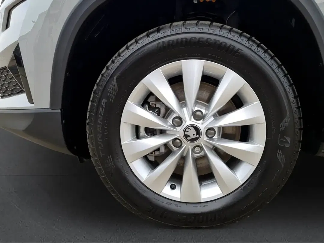 Skoda Karoq - Thumbnail 10