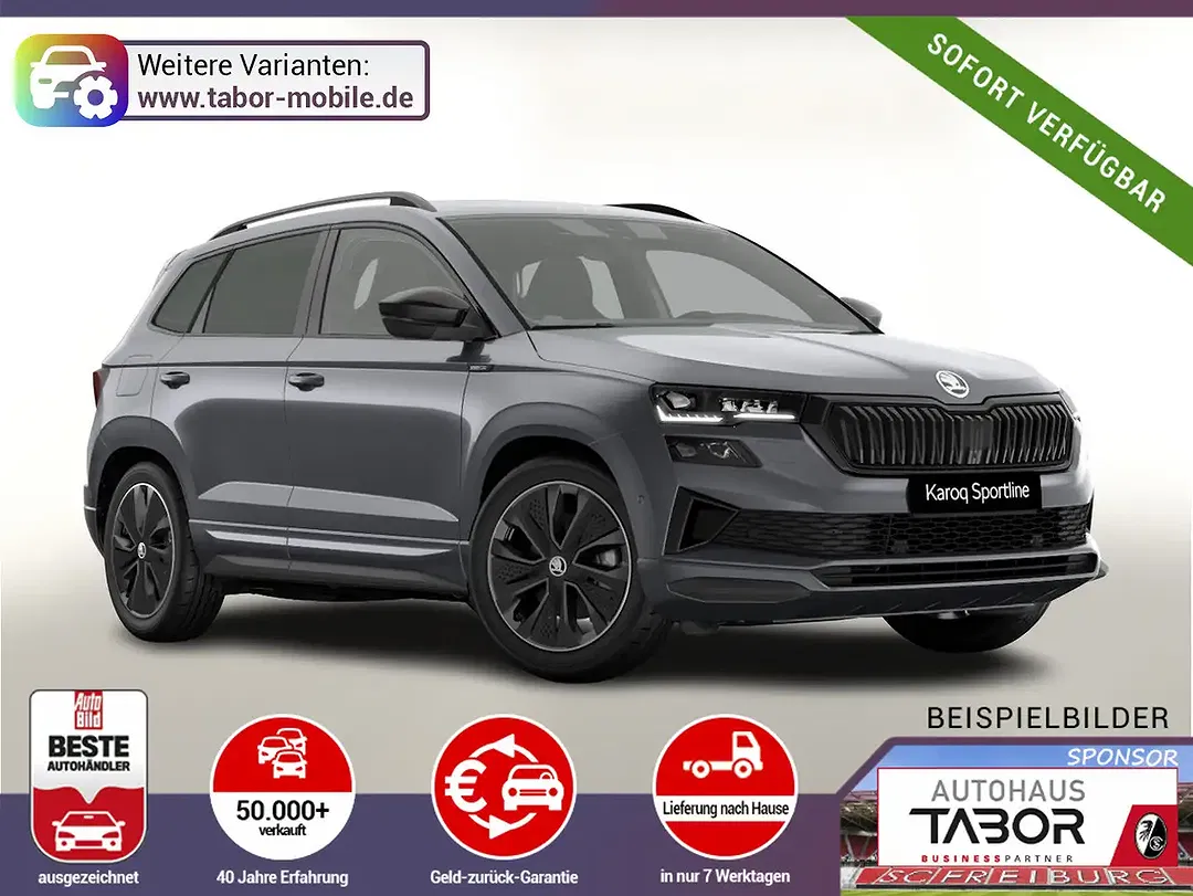 Skoda Karoq - Thumbnail 1