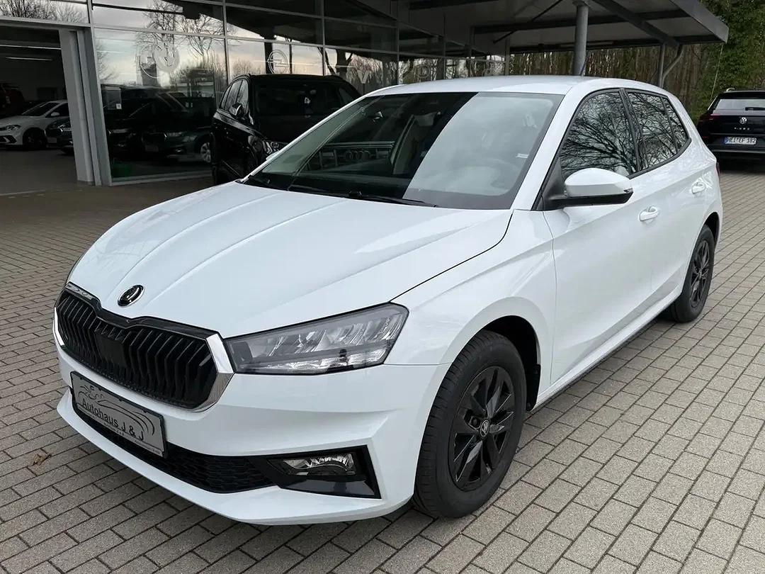 Skoda Fabia - Afbeelding 1