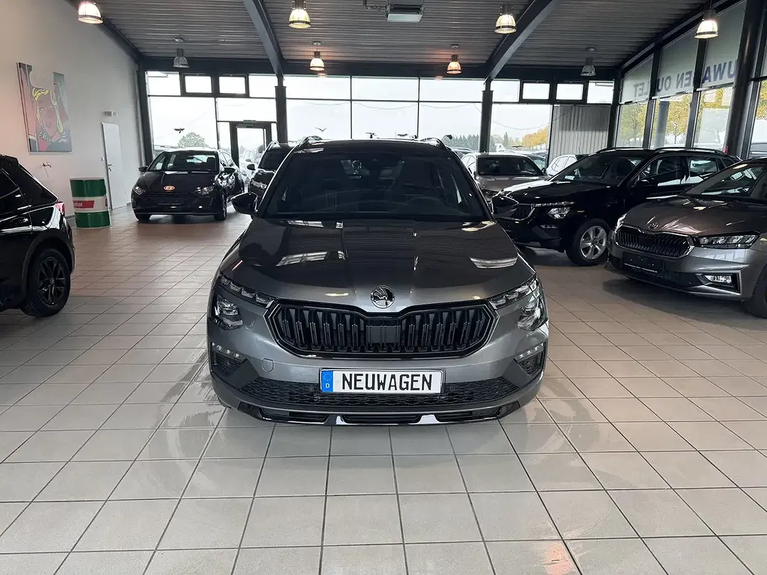 Skoda Kamiq - Thumbnail 8