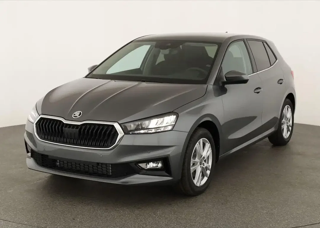 Skoda Fabia - Afbeelding 1