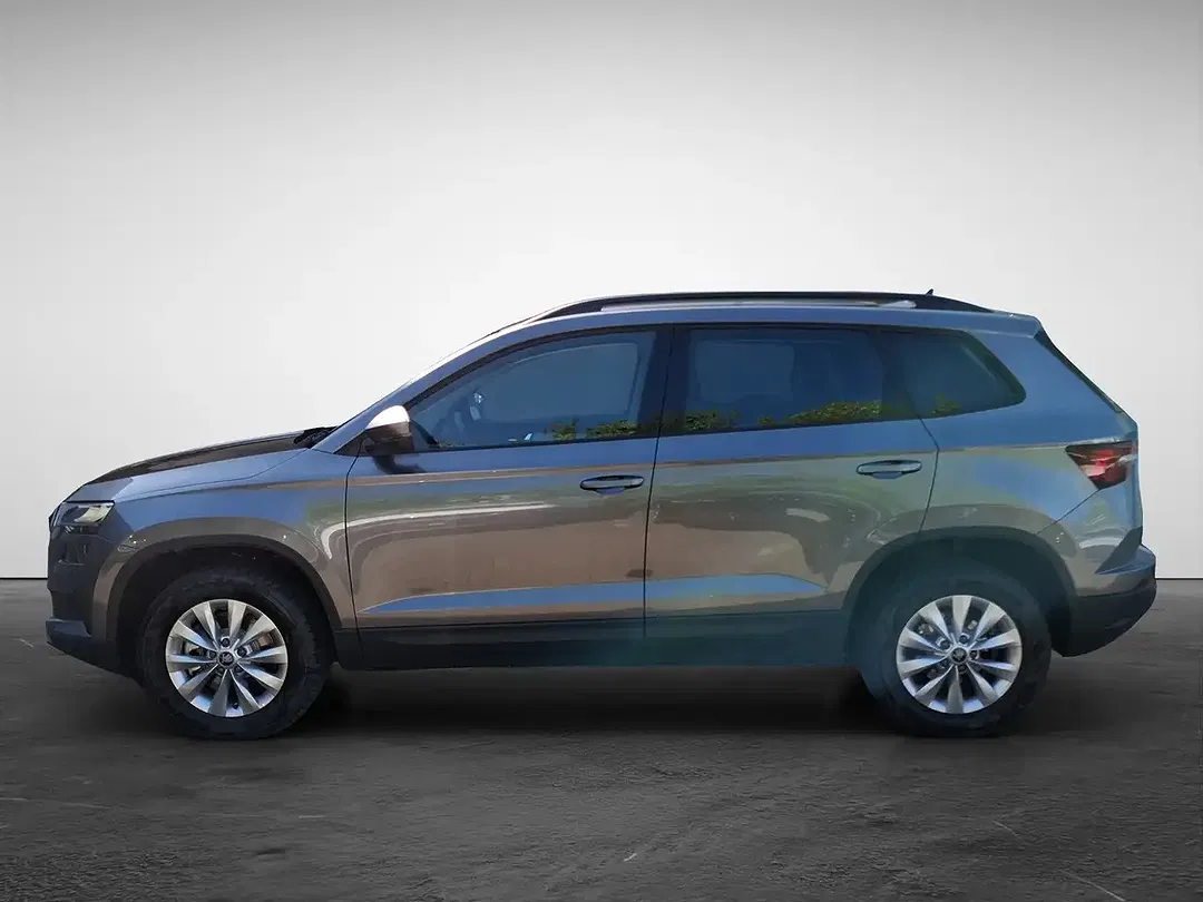 Skoda Karoq - Thumbnail 2