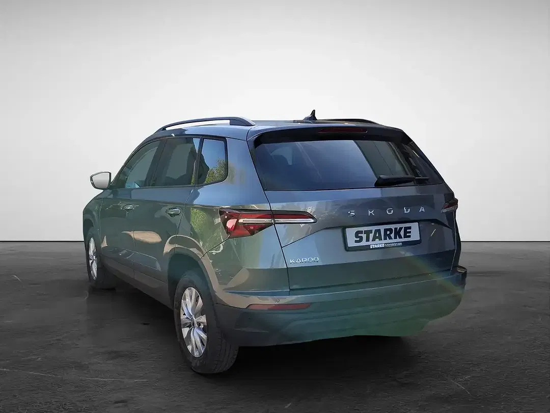 Skoda Karoq - Thumbnail 3