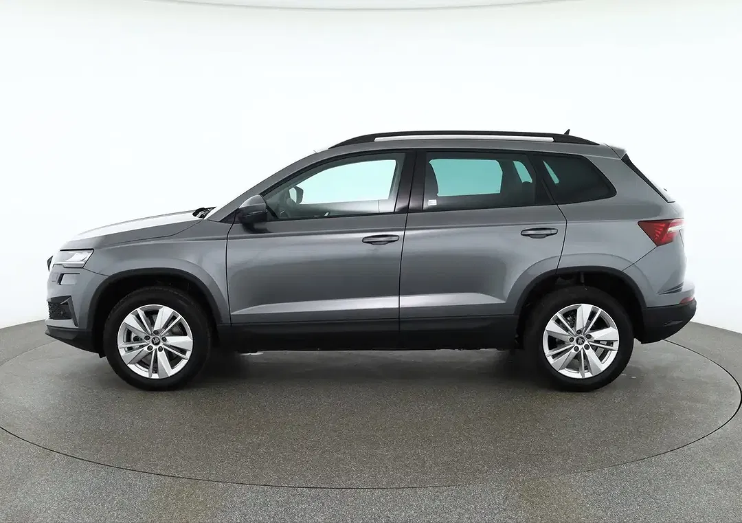 Skoda Karoq - Thumbnail 1
