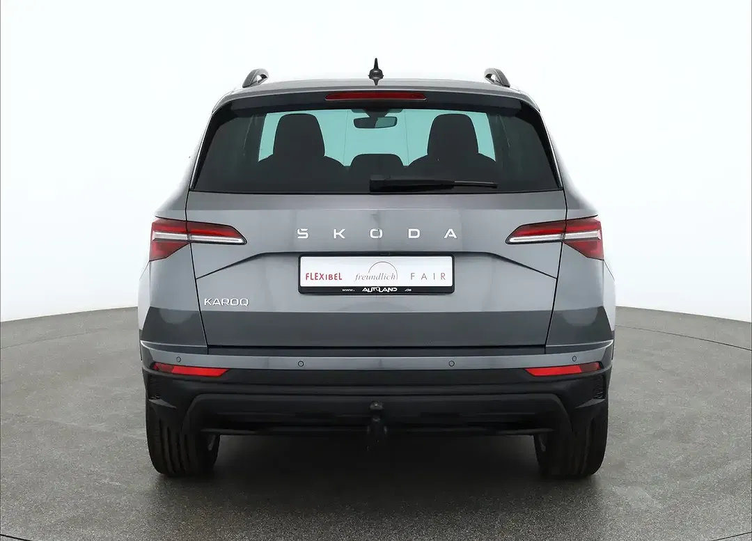 Skoda Karoq - Thumbnail 3