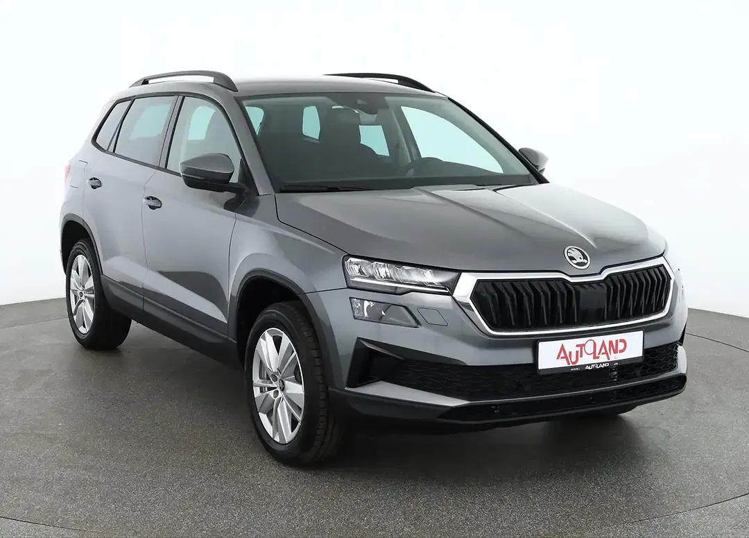 Skoda Karoq - Thumbnail 6