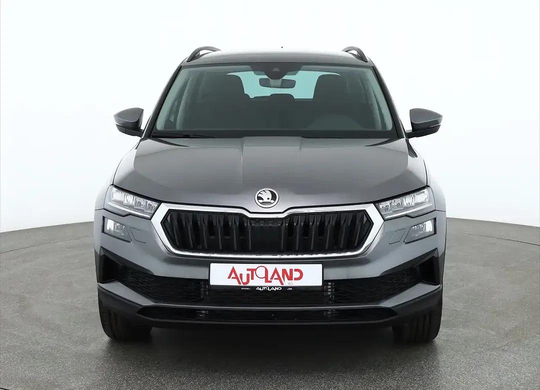 Skoda Karoq - Thumbnail 7