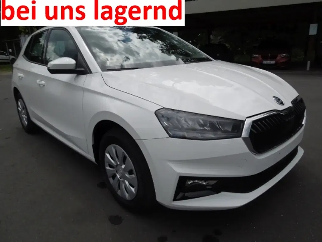 Skoda Fabia - Thumbnail 1