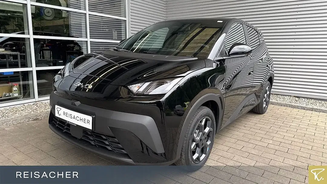 BYD Dolphin Surf Comfort