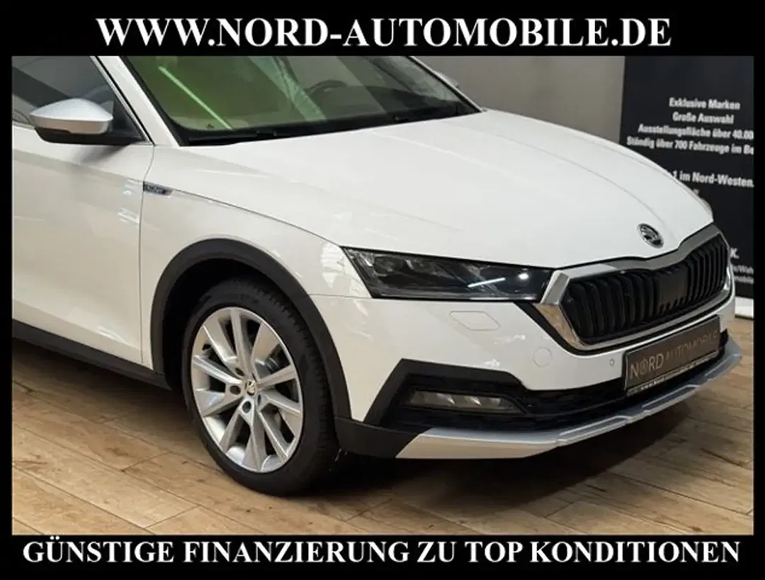 Skoda Octavia - Thumbnail 10