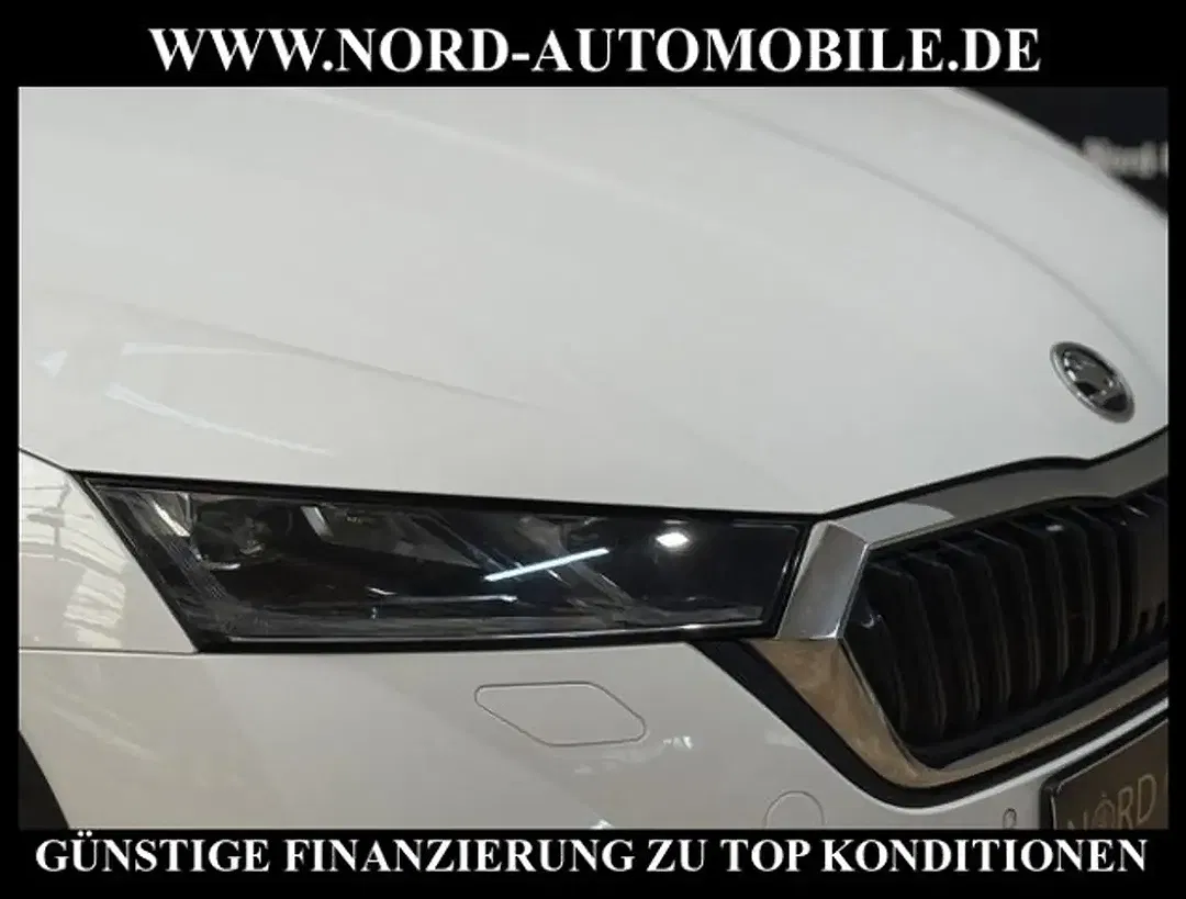 Skoda Octavia - Thumbnail 11