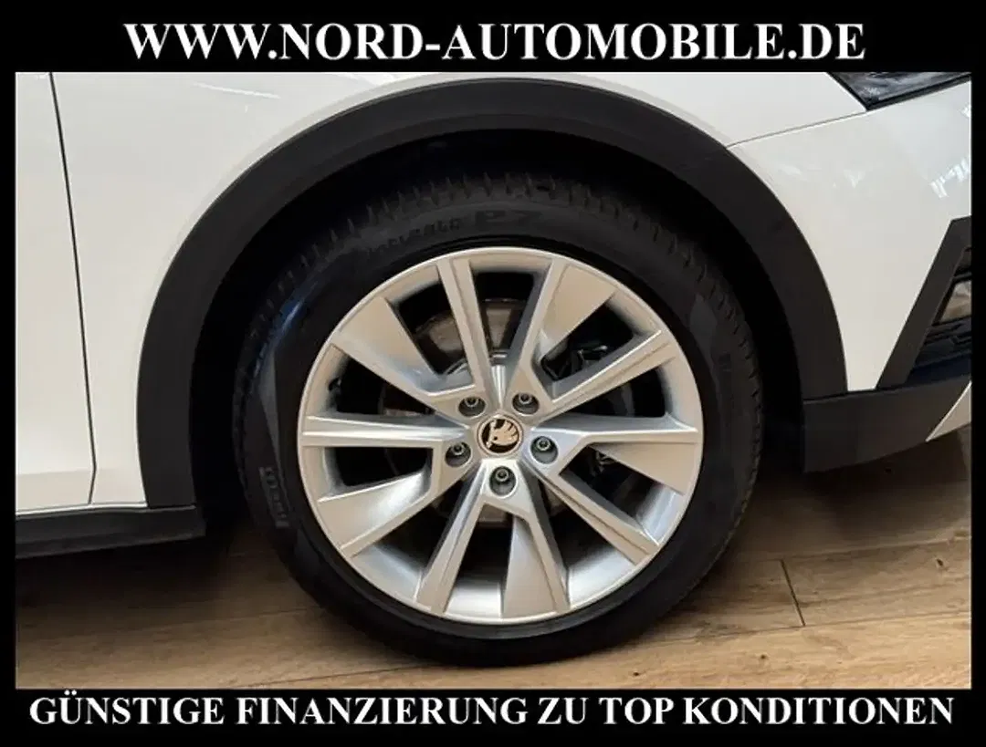 Skoda Octavia - Thumbnail 12