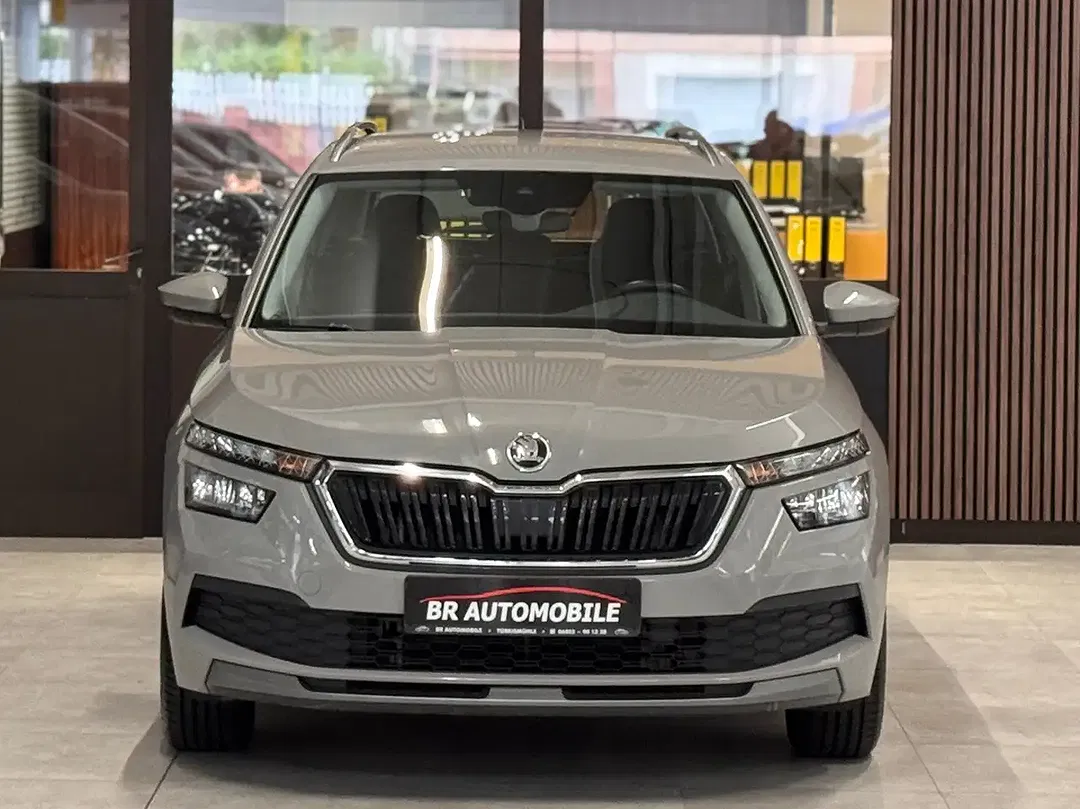Skoda Kamiq - Thumbnail 4