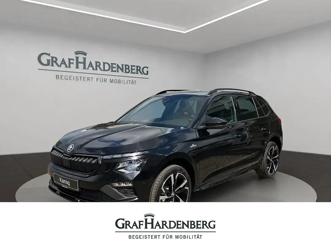Skoda Kamiq - Thumbnail 1