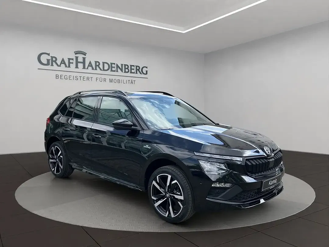 Skoda Kamiq - Thumbnail 7