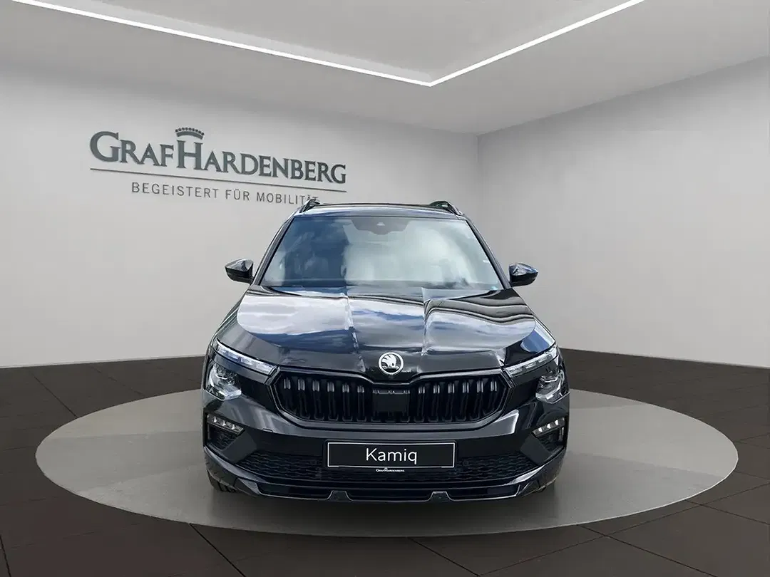 Skoda Kamiq - Thumbnail 8