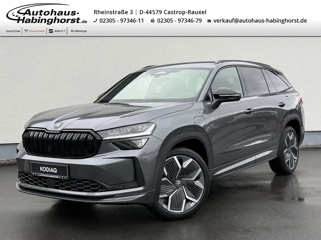 Skoda Kodiaq - Thumbnail 1