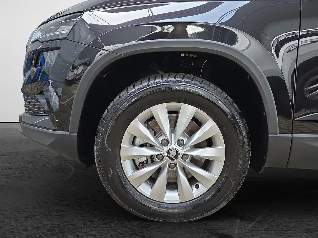 Skoda Karoq - Thumbnail 4
