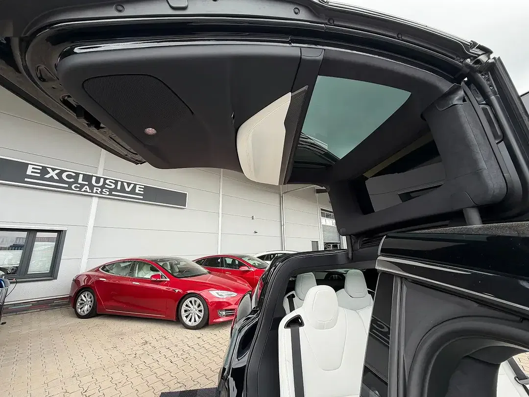 Tesla Model X - Thumbnail 22