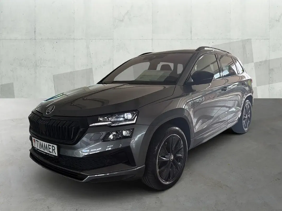 Skoda Karoq - Thumbnail 1
