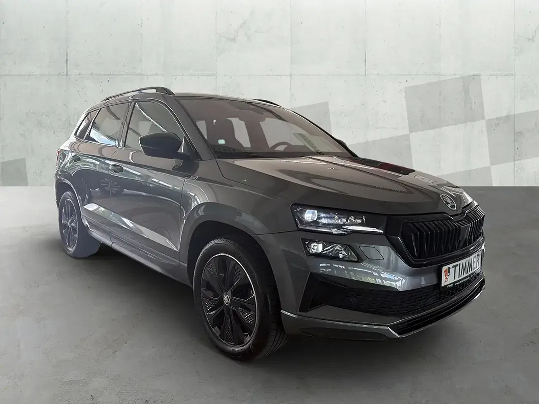 Skoda Karoq - Thumbnail 2