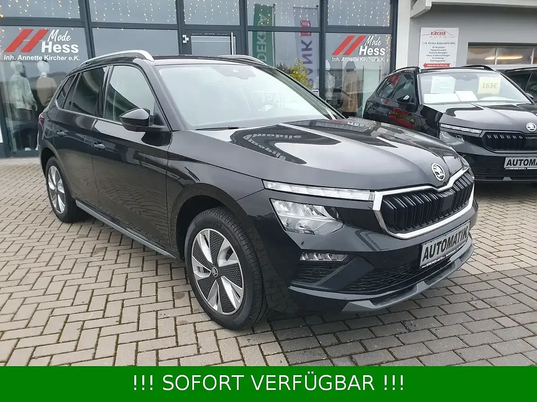 Skoda Kamiq - Thumbnail 13