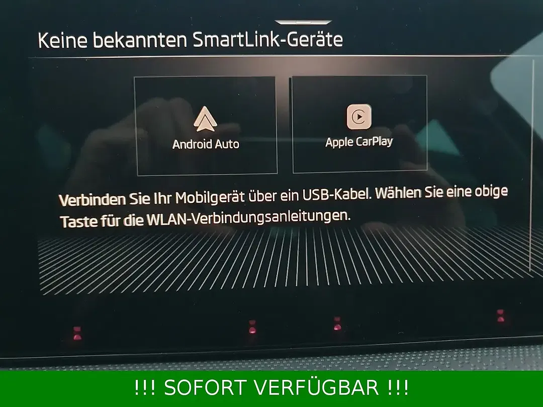 Skoda Kamiq - Thumbnail 16