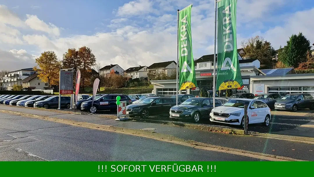 Skoda Kamiq - Thumbnail 48
