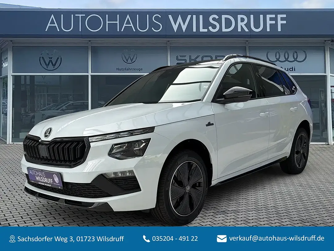 Skoda Kamiq - Thumbnail 1