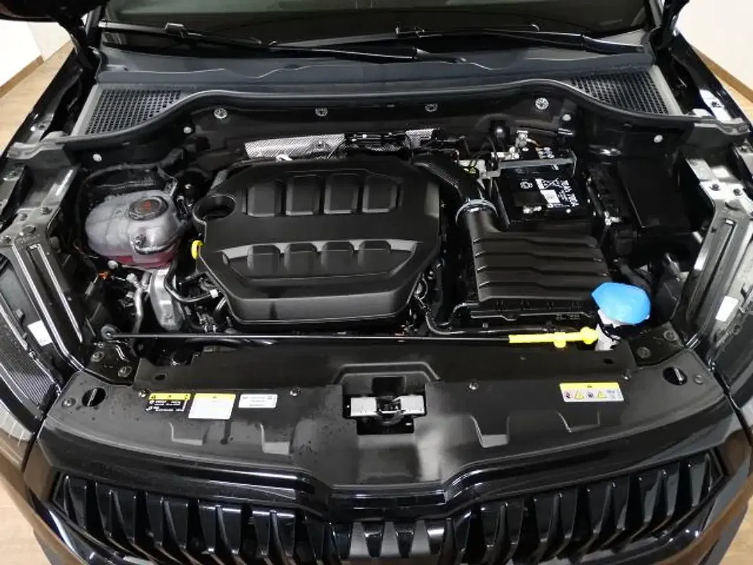 Skoda Karoq - Thumbnail 14