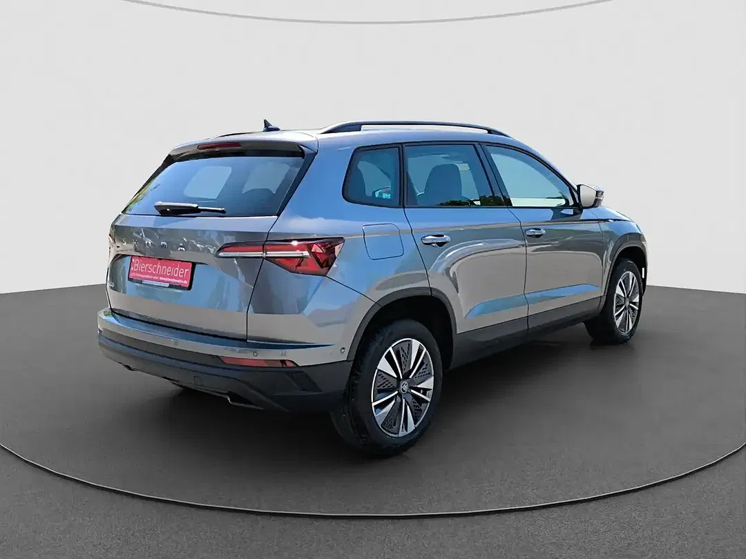 Skoda Karoq - Thumbnail 10