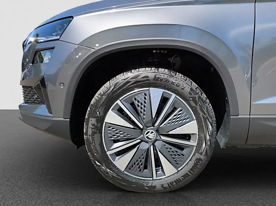 Skoda Karoq - Thumbnail 12