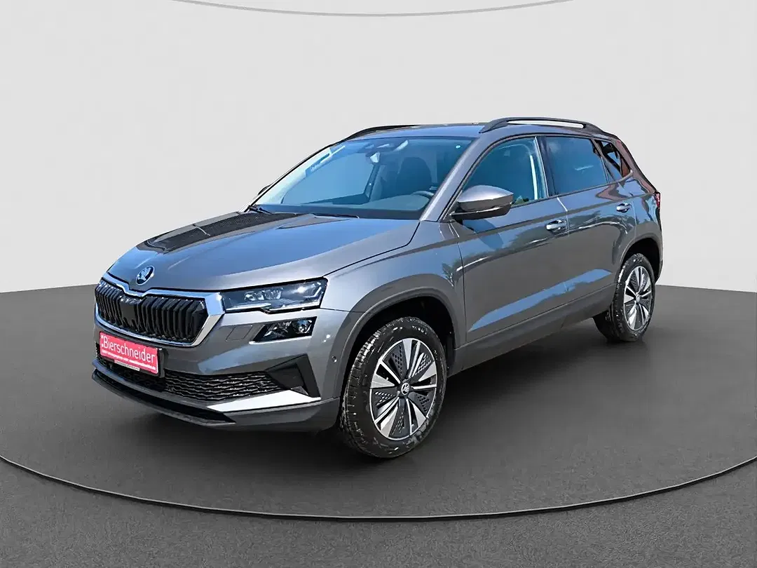 Skoda Karoq - Thumbnail 2