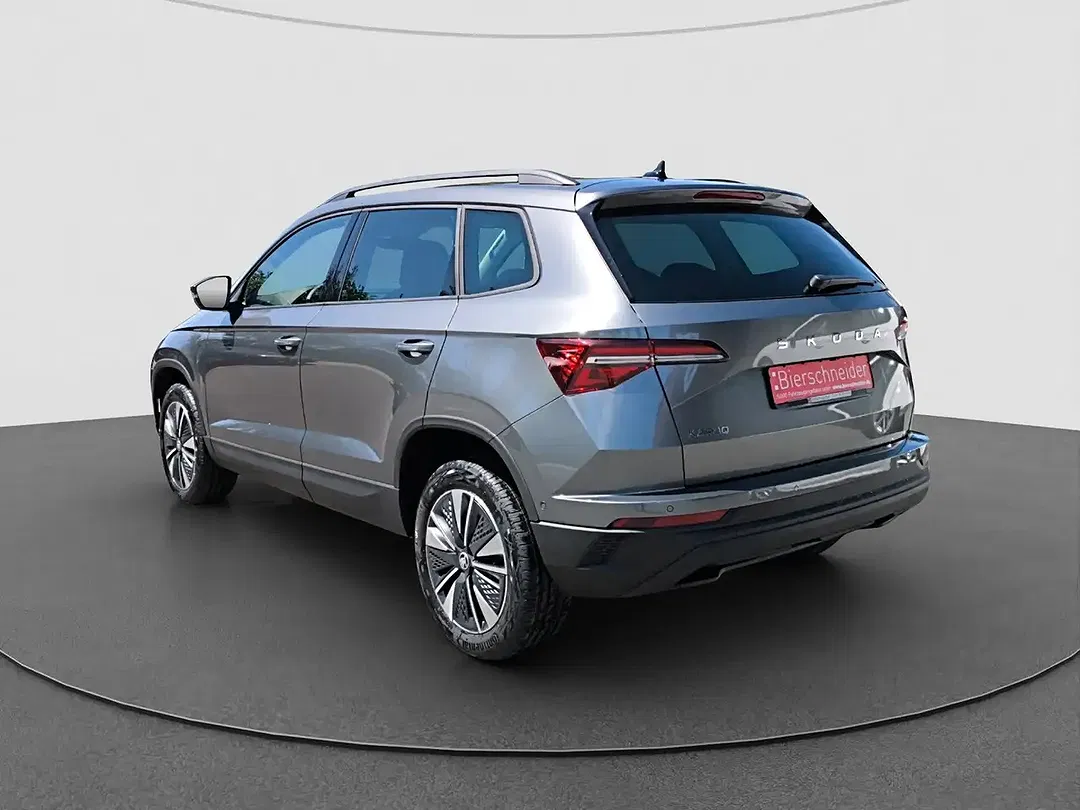 Skoda Karoq - Thumbnail 8