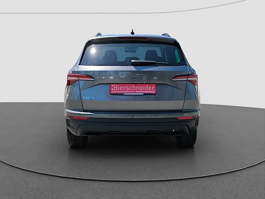 Skoda Karoq - Thumbnail 9