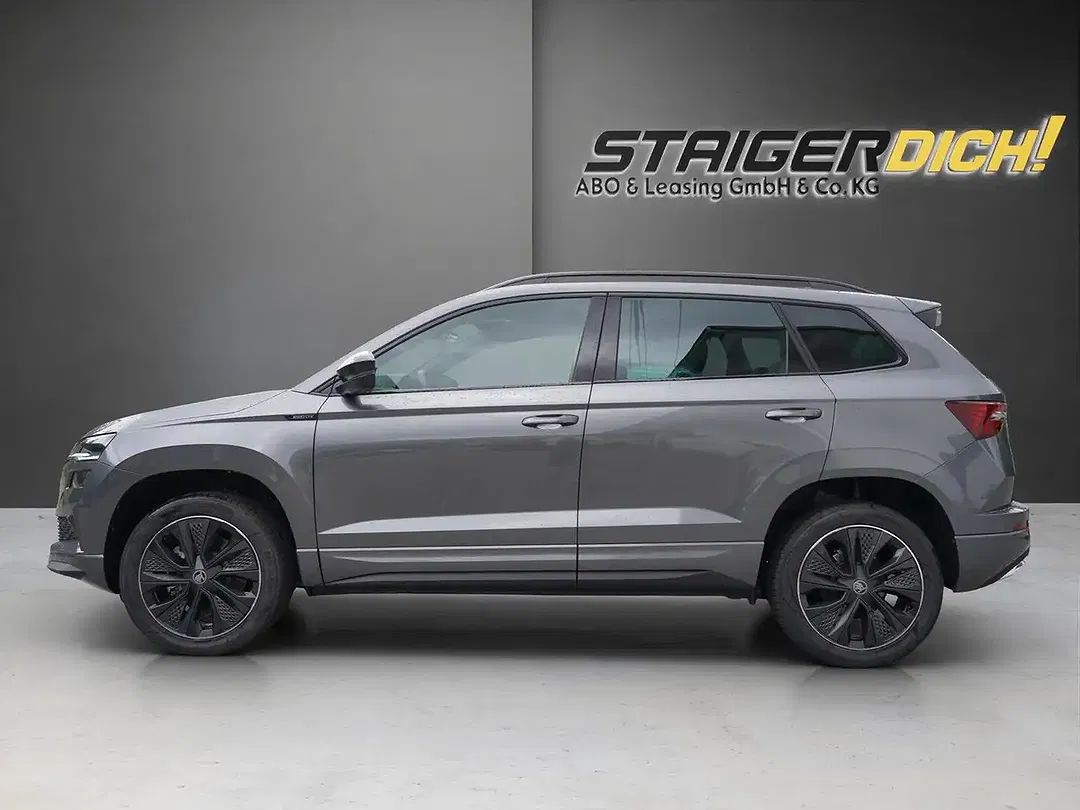 Skoda Karoq - Thumbnail 2