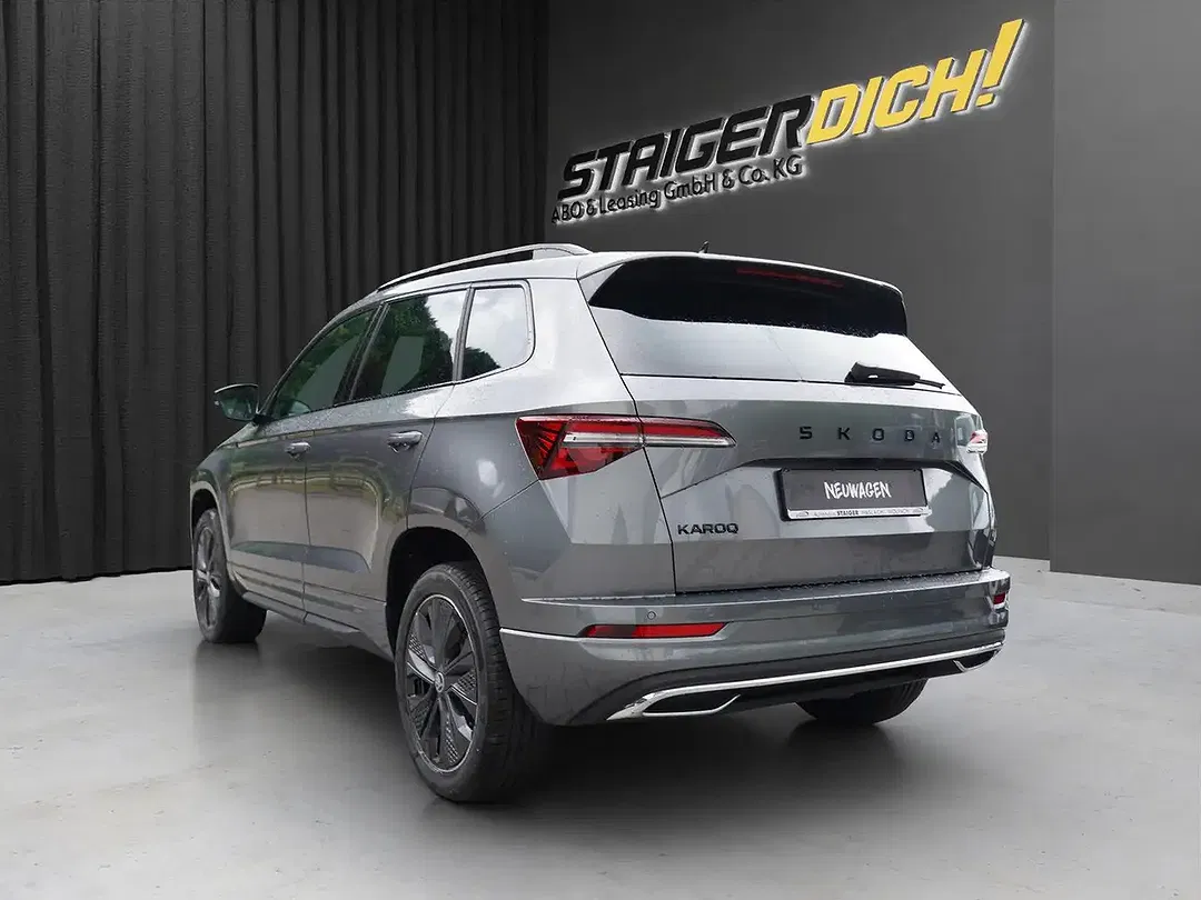 Skoda Karoq - Thumbnail 4