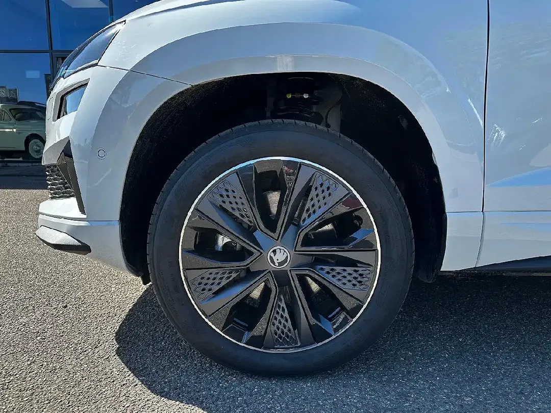 Skoda Karoq - Thumbnail 15