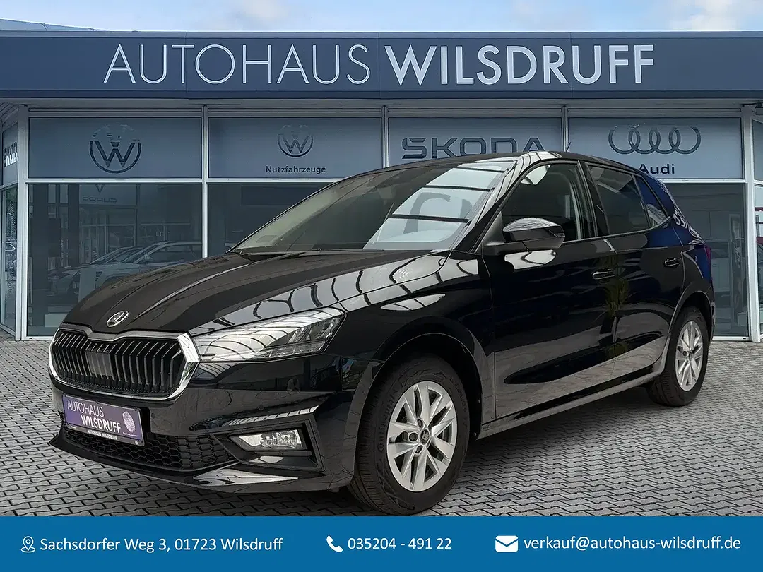 Skoda Fabia - Thumbnail 1