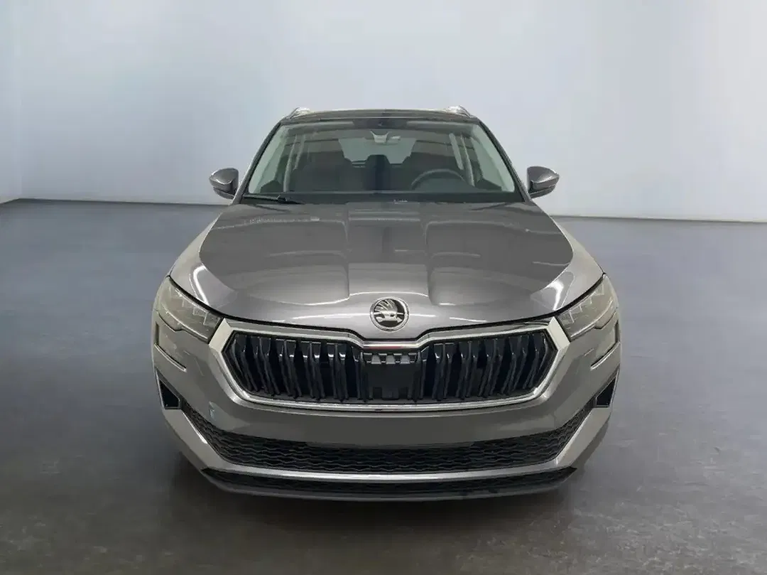Skoda Karoq - Thumbnail 2
