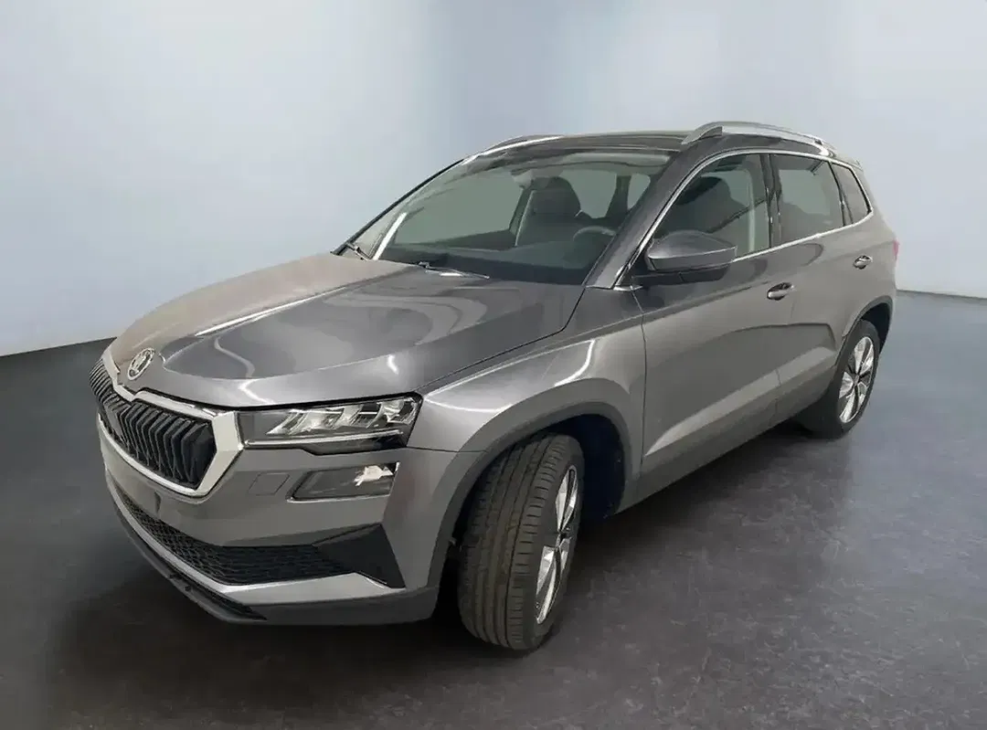 Skoda Karoq - Thumbnail 3