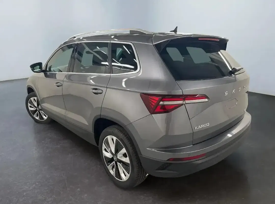 Skoda Karoq - Thumbnail 5
