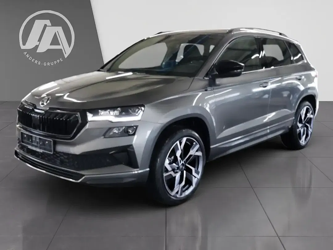 Skoda Karoq - Thumbnail 14