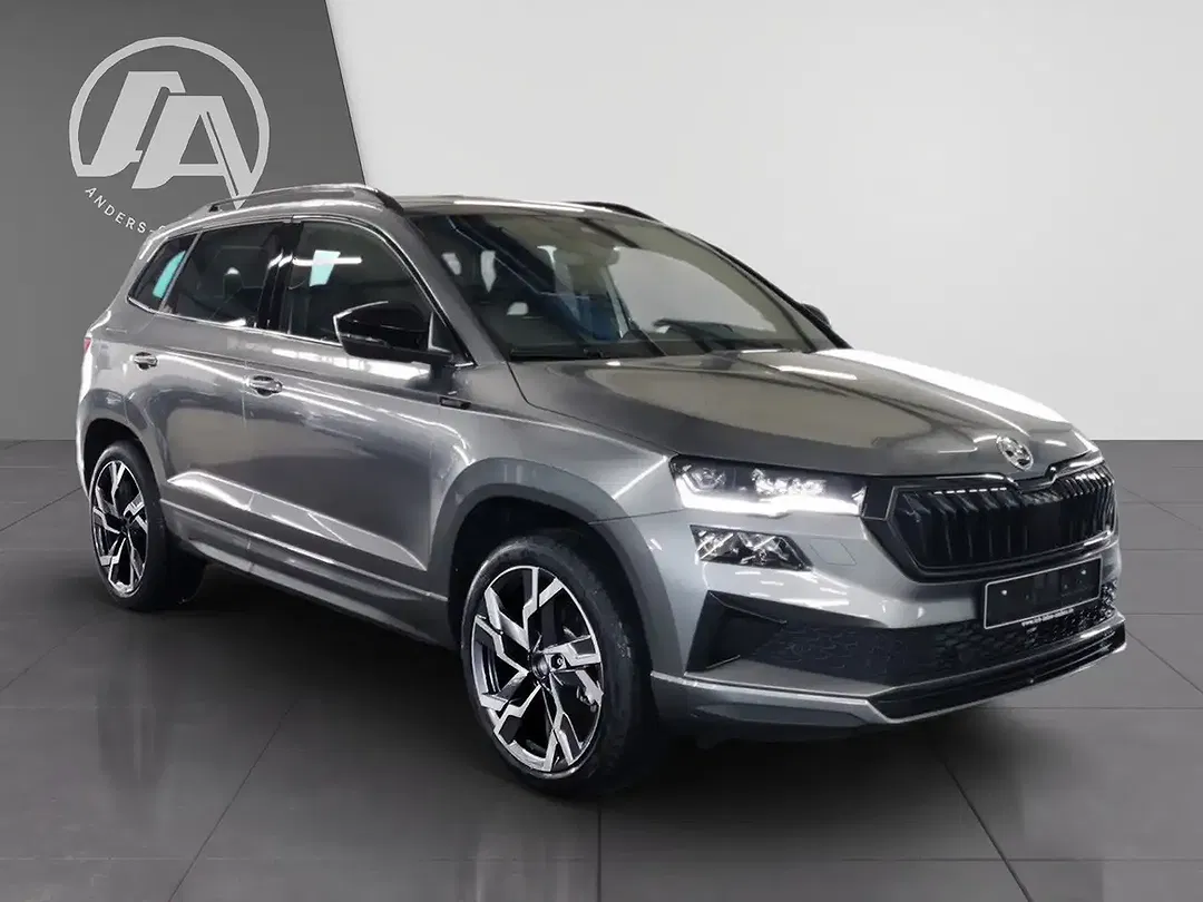 Skoda Karoq - Thumbnail 6