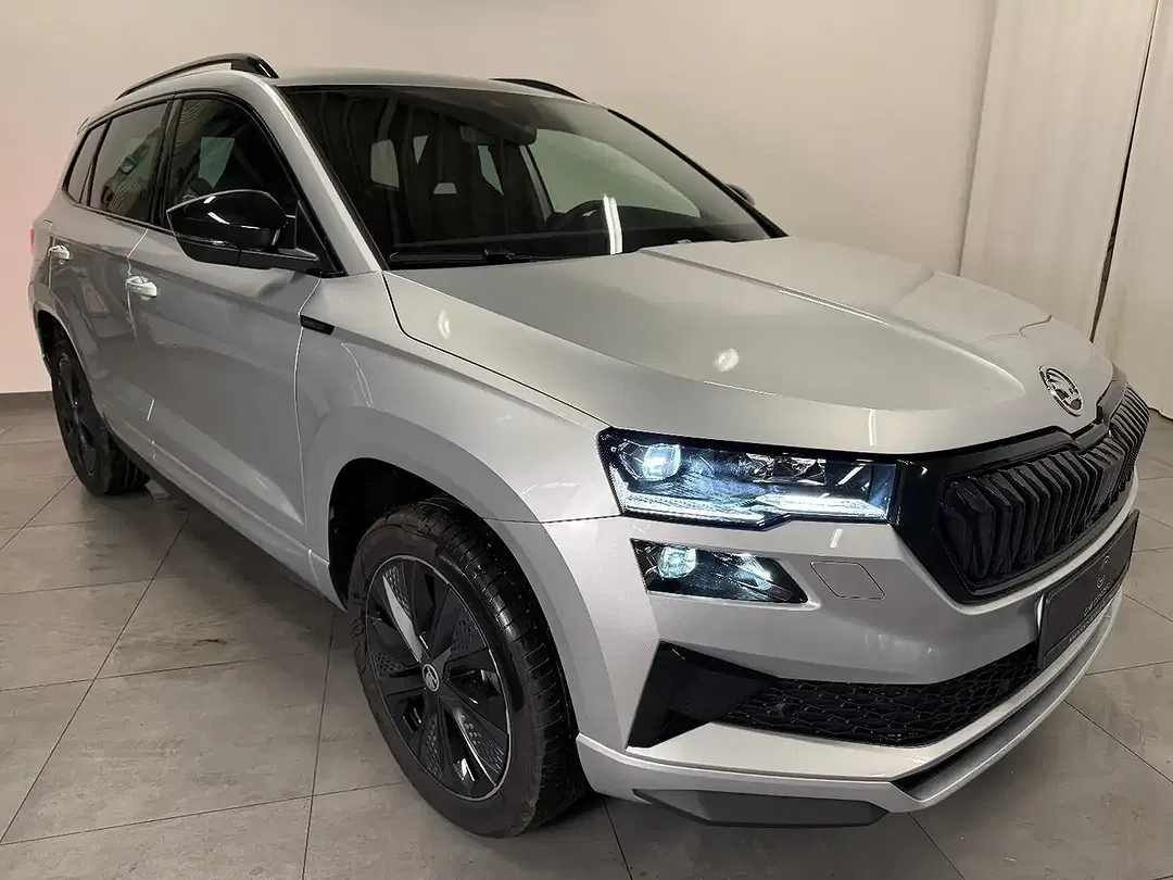 Skoda Karoq - Thumbnail 3